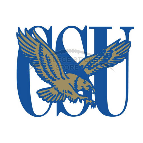Customs Coppin State Eagles Iron-on Transfers (Wall Stickers)NO.4192